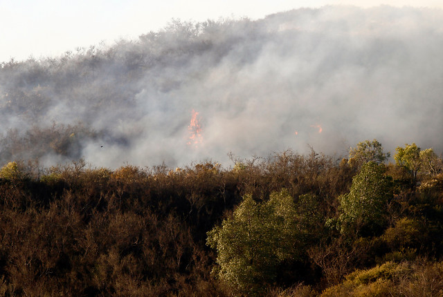 Incendio forestal en Melipilla está controlado, pero se mantiene Alerta Roja