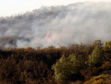 Incendio forestal en Melipilla está controlado, pero se mantiene Alerta Roja