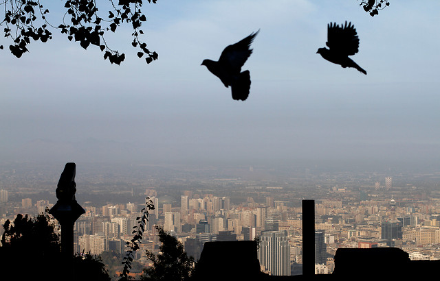 Intendencia decreta alerta ambiental para la Región Metropolitana