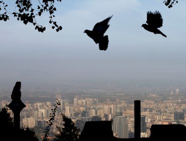 Intendencia decreta alerta ambiental para la Región Metropolitana