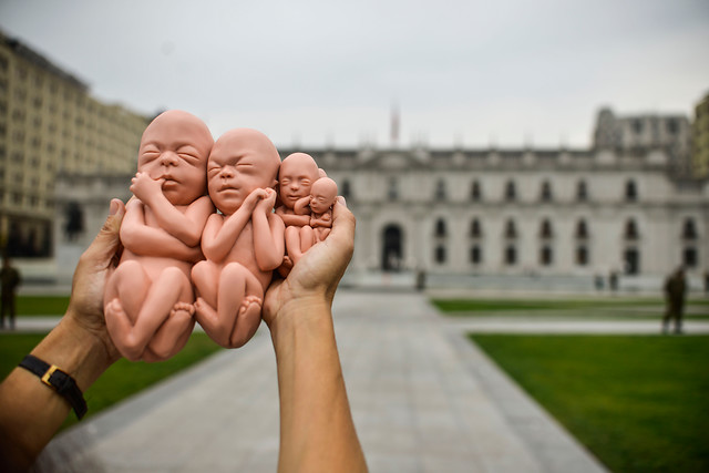 Aborto: Burgos encuentra razonable postergar votación, pero Castro se niega