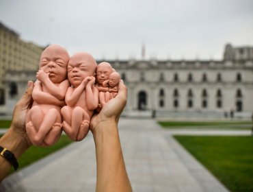 Aborto: Burgos encuentra razonable postergar votación, pero Castro se niega