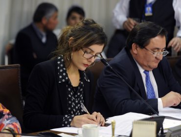 Comisión de Educación no votará proyecto de Carrera Docente