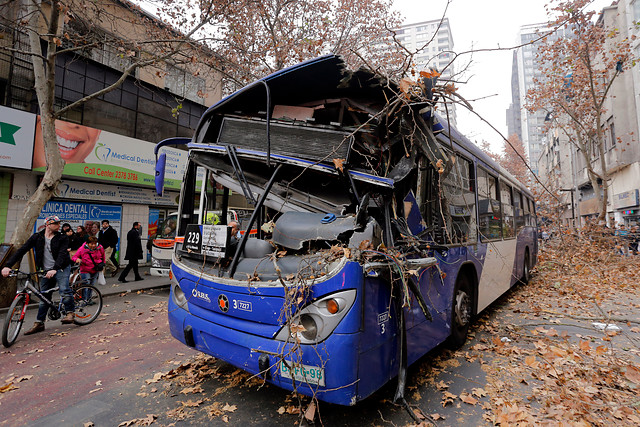 Bus del Transantiago choca y derriba un árbol en el centro de Santiago