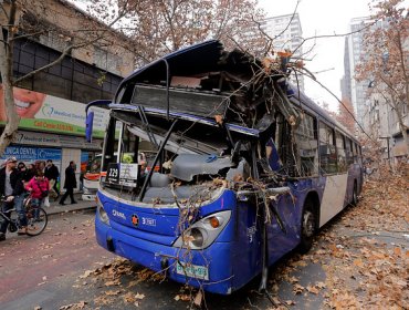 Bus del Transantiago choca y derriba un árbol en el centro de Santiago