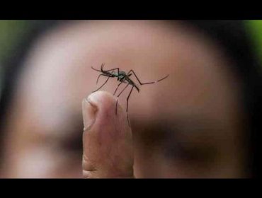 Fiebre chikungunya pasa los 27.000 casos en Ecuador