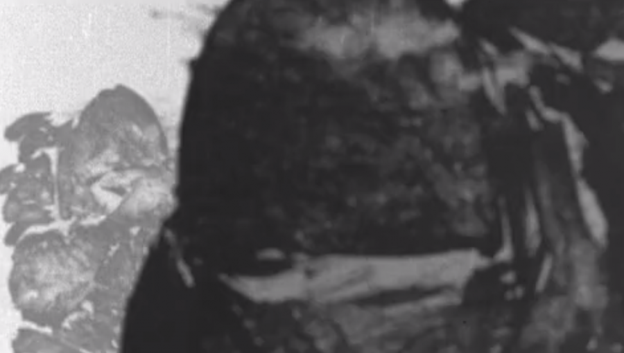 Documental chileno "Muerte Blanca" de Roberto Collío gana el Globo de Cristal