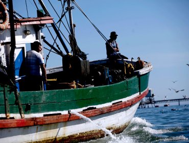 Biobío: Armada aborda a pesqueros chinos para fiscalizar pesca ilegal