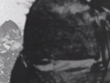 Documental chileno "Muerte Blanca" de Roberto Collío gana el Globo de Cristal