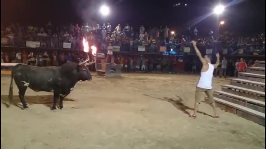 Video: Mira lo que pasa si le prendes fuego a los cuernos de un toro