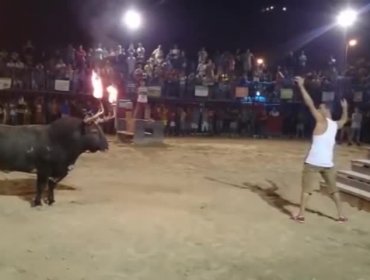 Video: Mira lo que pasa si le prendes fuego a los cuernos de un toro