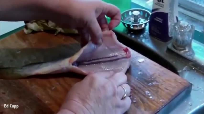 Video: El susto que se llevó esta mujer de un pescado que no queria ser cocinado