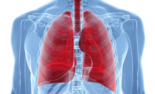 Estudio arroja que desarrollo de los pulmones en los primeros años es la clave para evitar enfermedades obstructivas