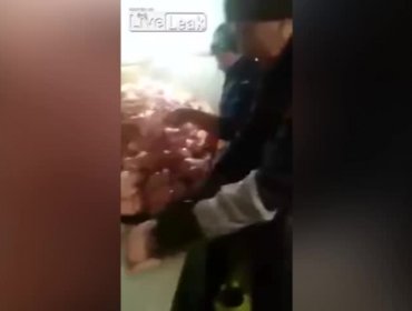 Video: Mira como “marinan” a los pollos que compras en el supermercado