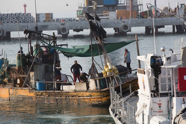 Pymes pesqueras valoran moción para modificar ley de pesca