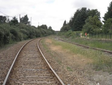 Una persona murió atropellada por un tren en la Región de Los Ríos