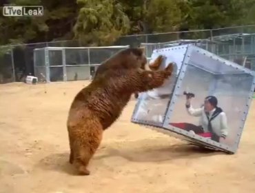 Video: La terrorífica experiencia de esta mujer dentro de un cubo y un oso Grizzly