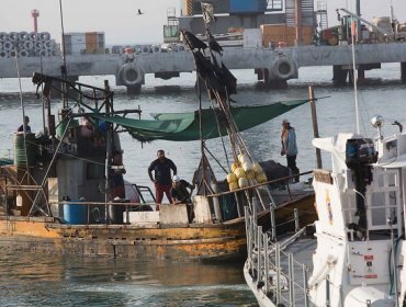 Pymes pesqueras valoran moción para modificar ley de pesca