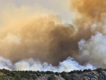 Un incendio en Grecia enciende alarmas por proximidad con zonas habitadas