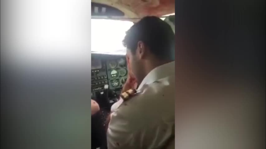 Video: Así queda un avión cuando choca con un buitre