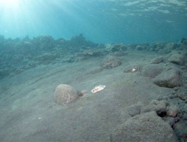 Elevan el nivel de alerta por actividad de volcán submarino cerca de Granada