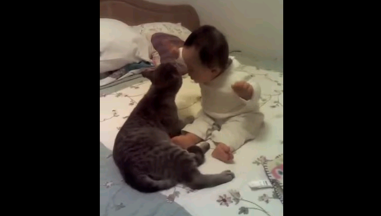 Video: La bella amistad entre una bebé con Síndrome de Down y su gato