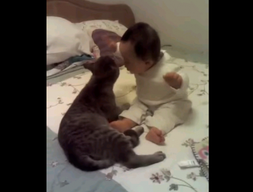 Video: La bella amistad entre una bebé con Síndrome de Down y su gato