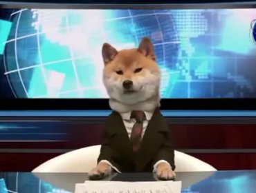 Video: Adorable perro presenta las noticias en Japón