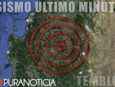 Sismo de 5.0 grados sacudió a la región del Biobío