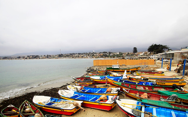 Coquimbo: Pescadores de Caleta La Herradura cuentan con esperado embarcadero