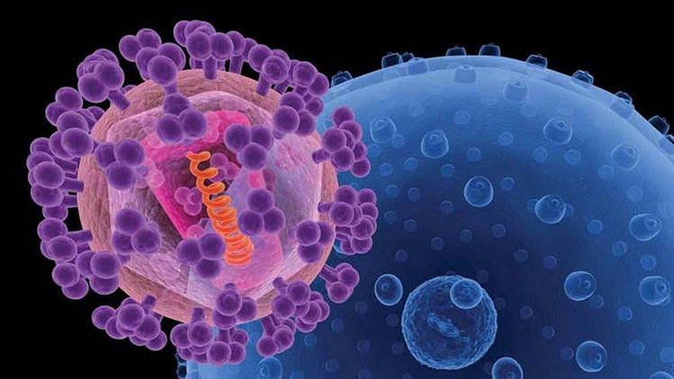 "Resucitan" virus antiguos para intentar mejorar las terapias génicas