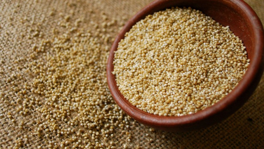 ¿Conoces la quinoa? Descubre los beneficios de este cereal