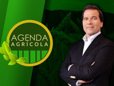 CNN Chile estrenará el primer programa dedicado al sector agrario del país