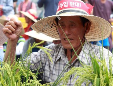 La ola de calor en Corea del Sur se cobra cuatro vidas