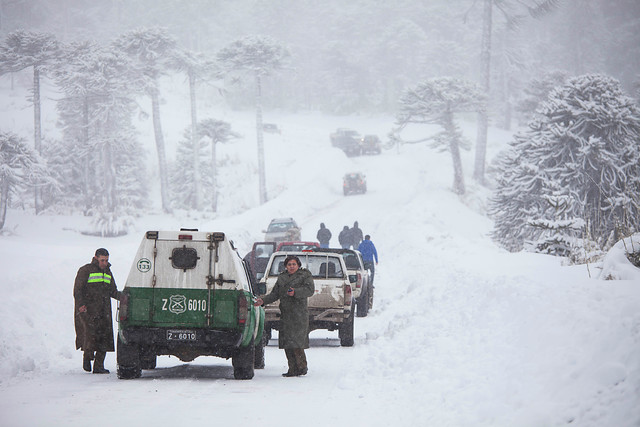 Joven esquiador murió aplastado por avalancha en las Termas de Chillán