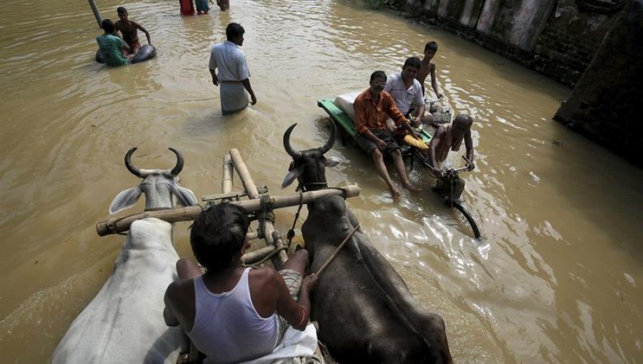 Ascienden a más de 200 los muertos por inundaciones en la India