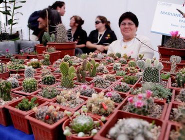 Red de emprendimiento femenino más grande del continente se constituye en Chile