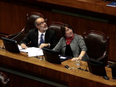 Delpiano a diputados: No se darán recursos a planteles que no garanticen calidad