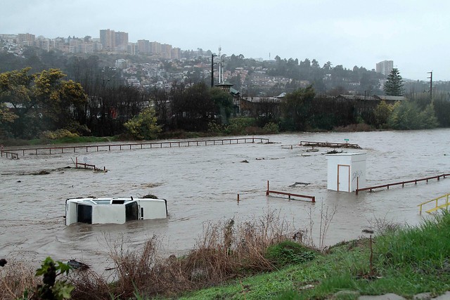 Alcaldesa de Viña del Mar llamó a la calma por el estero Marga Marga