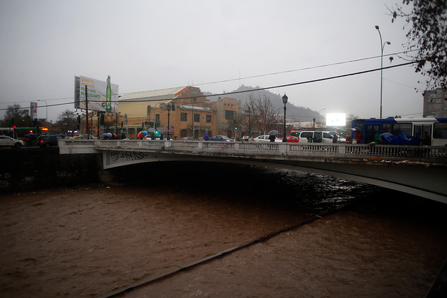 Cortes de luz, árboles caídos e inundaciones; los primeros estragos del temporal