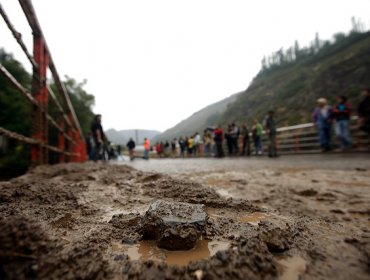 Ordenan evacuación de campamento en San José de Maipo por lluvias