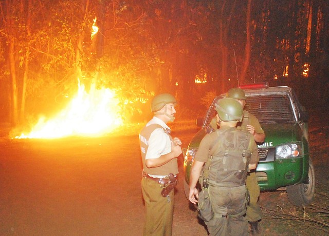 Ataque deja seis camiones y maquinarias incendiados en La Araucanía