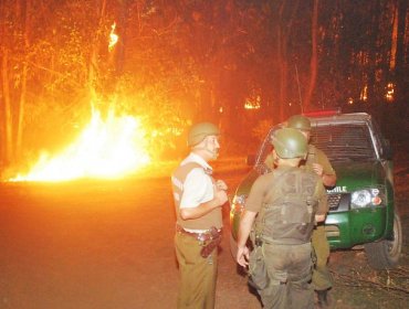 Ataque deja seis camiones y maquinarias incendiados en La Araucanía