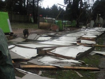 Dramáticas imágenes de protectora de animales en Valparaíso tras paso de temporal