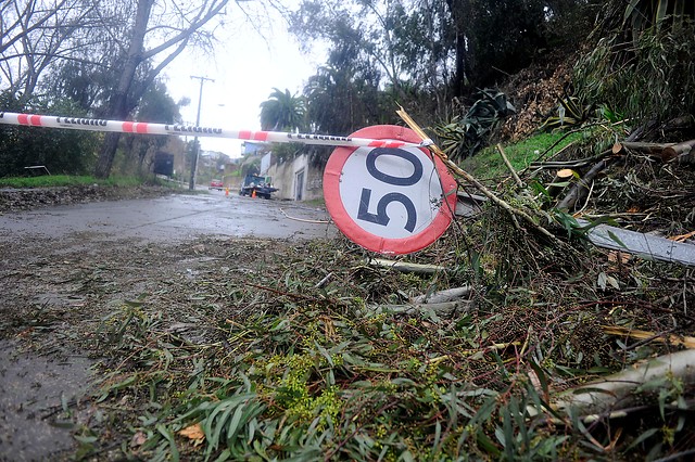 Según Comité de Emergencias de SEC: 38.071 hogares se encuentran sin suministro eléctrico