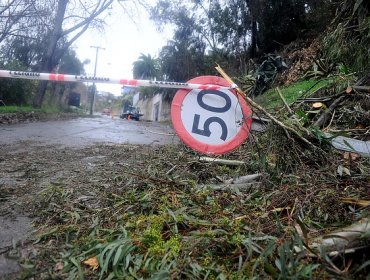 Según Comité de Emergencias de SEC: 38.071 hogares se encuentran sin suministro eléctrico