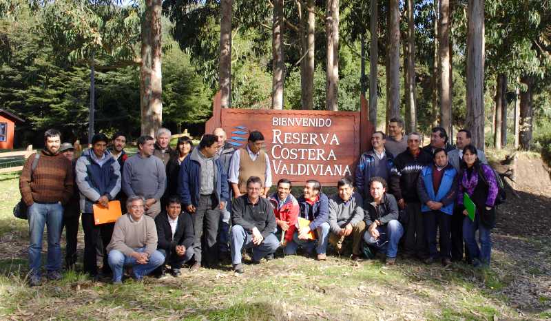 ¿Quiere ser neutro en emisiones? Invierta en bosque nativo