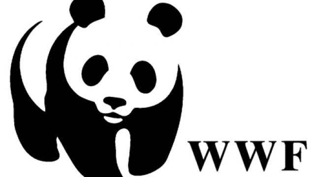 Director general de WWF Francia desaparece en una inmersión en la Polinesia