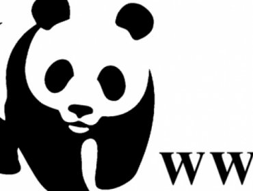 Director general de WWF Francia desaparece en una inmersión en la Polinesia