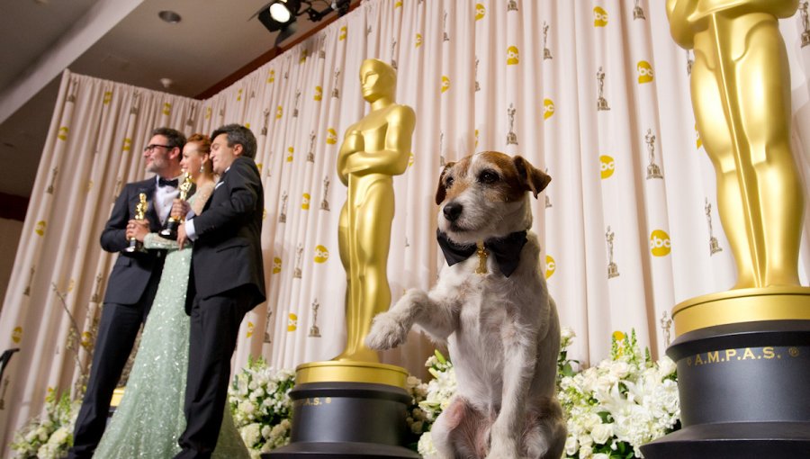 Muere “Uggie”, el perro que se convirtió en estrella de Hollywood